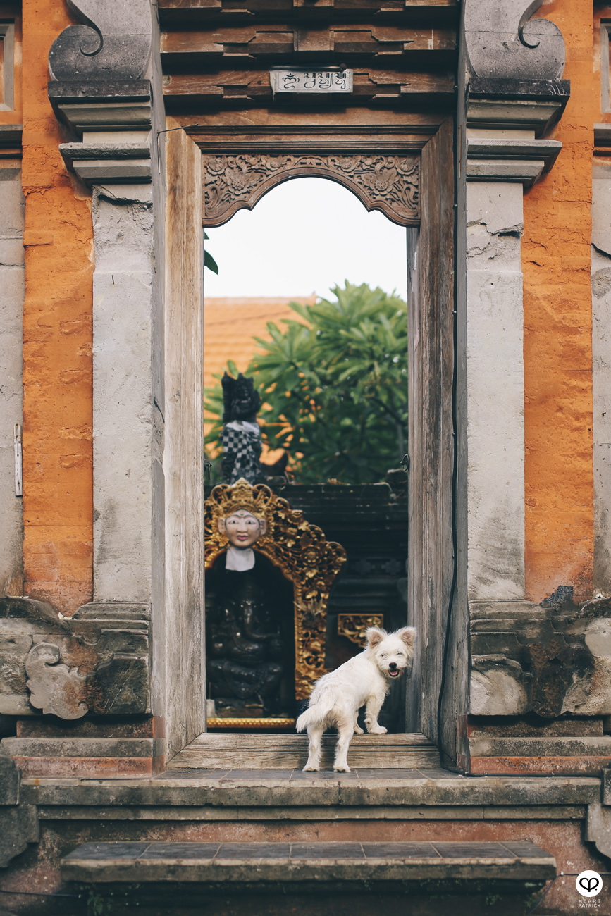 heartpatrick travel indonesia bali ubud culture street photography 