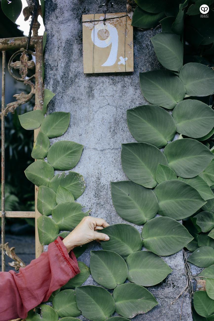 heartpatrick travel indonesia bali ubud culture street photography 