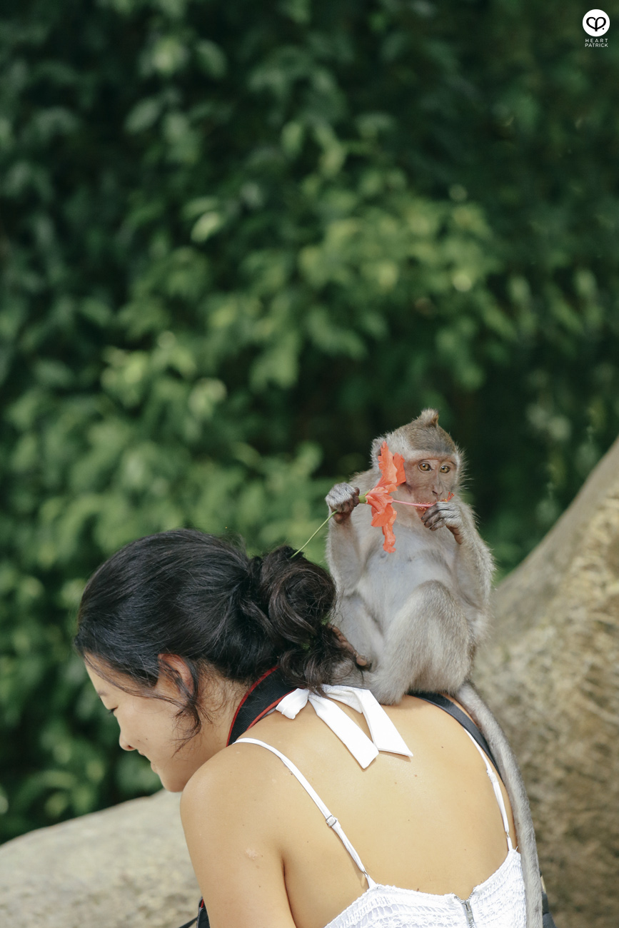 heartpatrick travel indonesia bali ubud culture street photography 