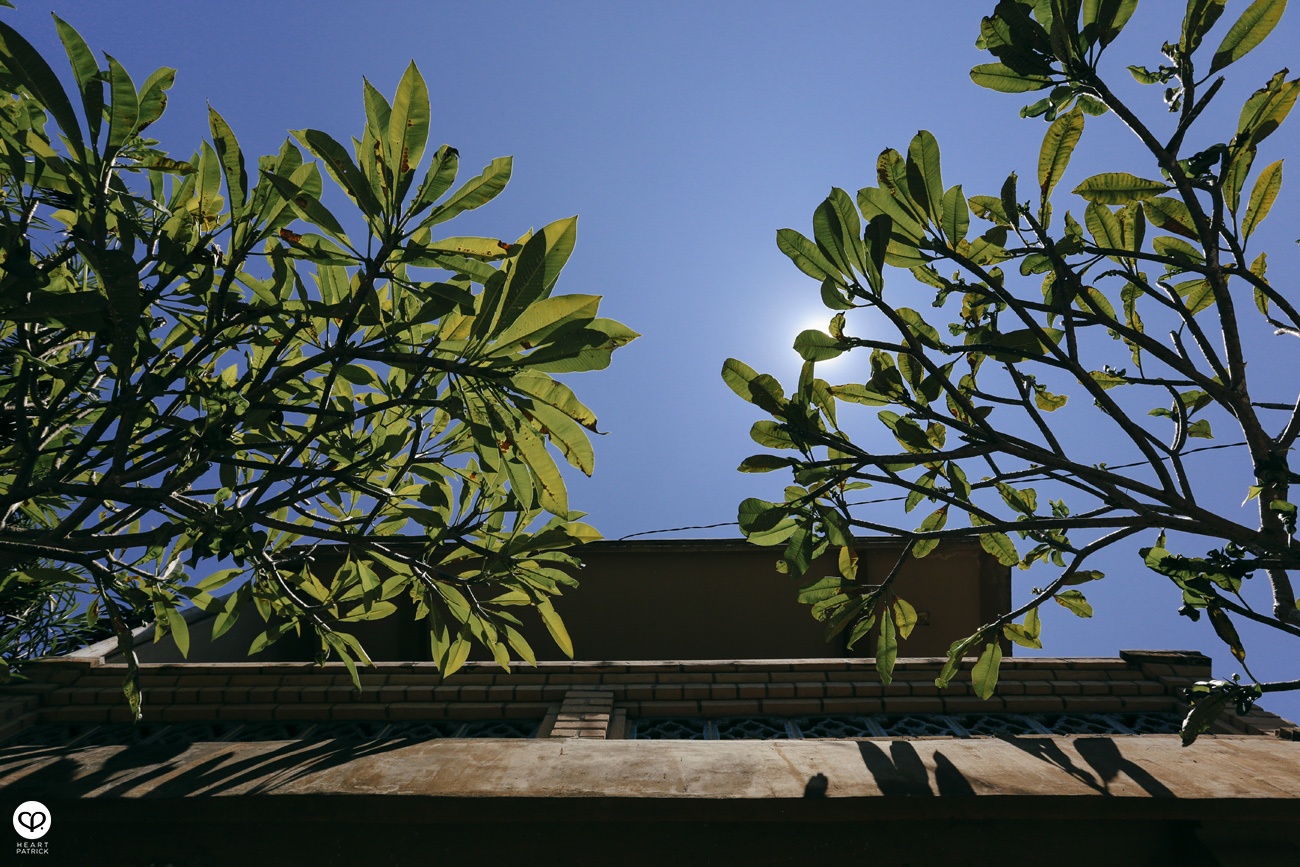 heartpatrick travel indonesia bali ubud culture street photography 