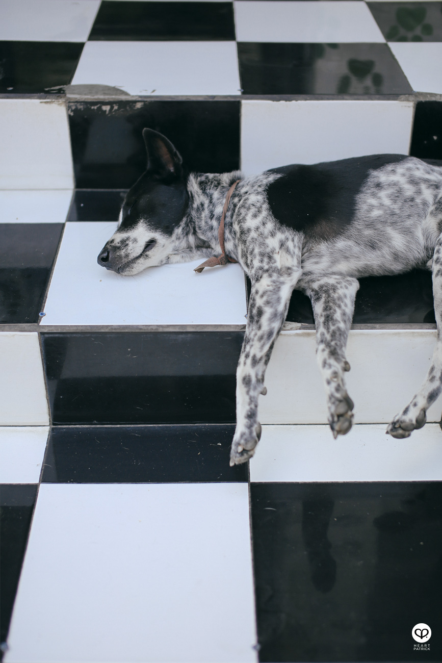 heartpatrick travel indonesia bali ubud culture street photography 