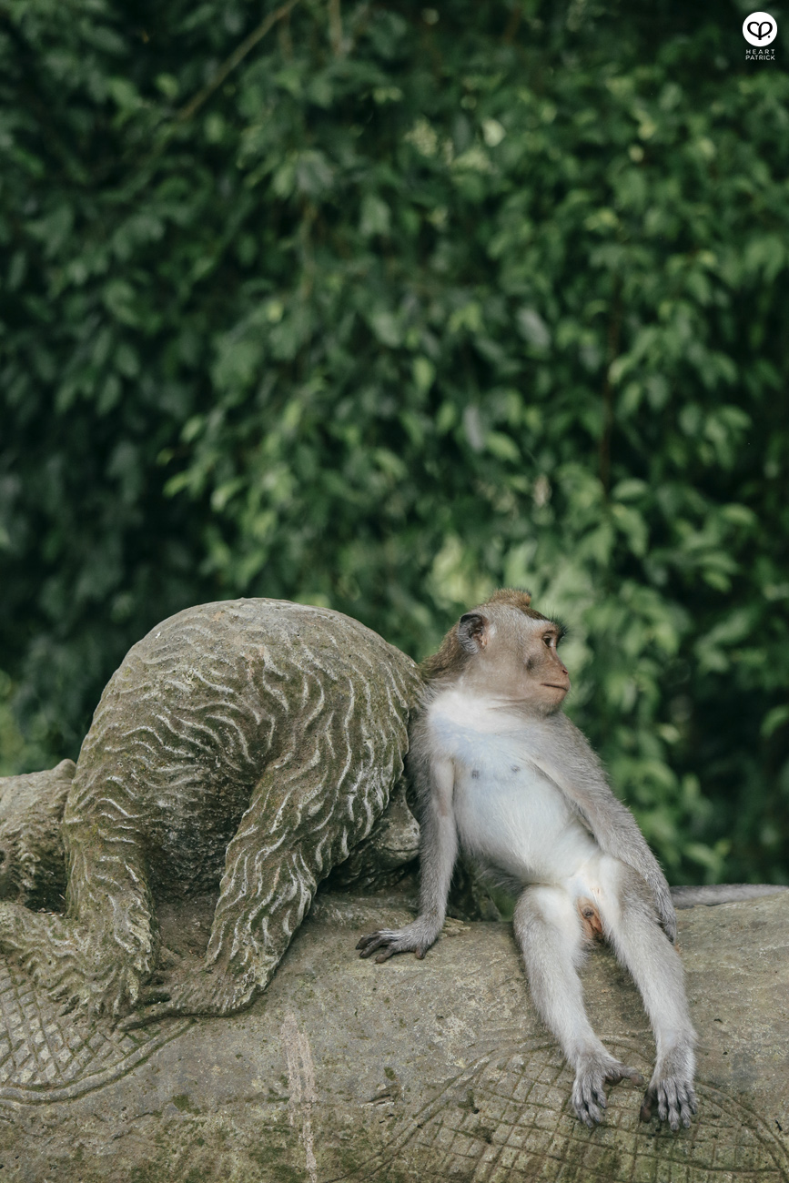 heartpatrick travel indonesia bali ubud culture street photography 