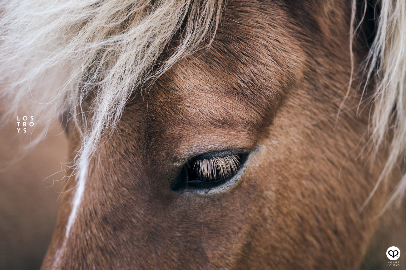 heartpatrick travel iceland adventure