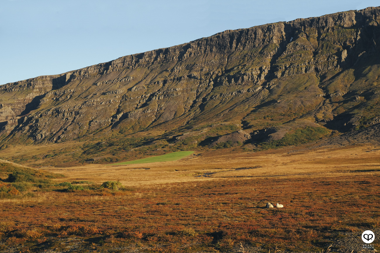 heartpatrick travel iceland adventure