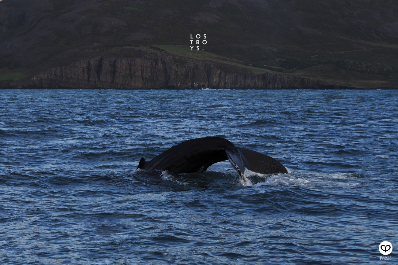 heartpatrick travel iceland adventure