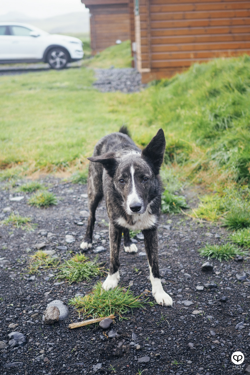 heartpatrick travel iceland adventure