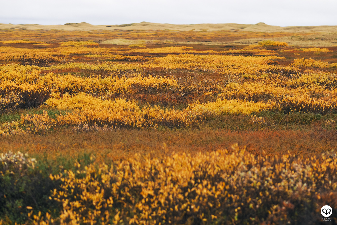 heartpatrick travel iceland adventure