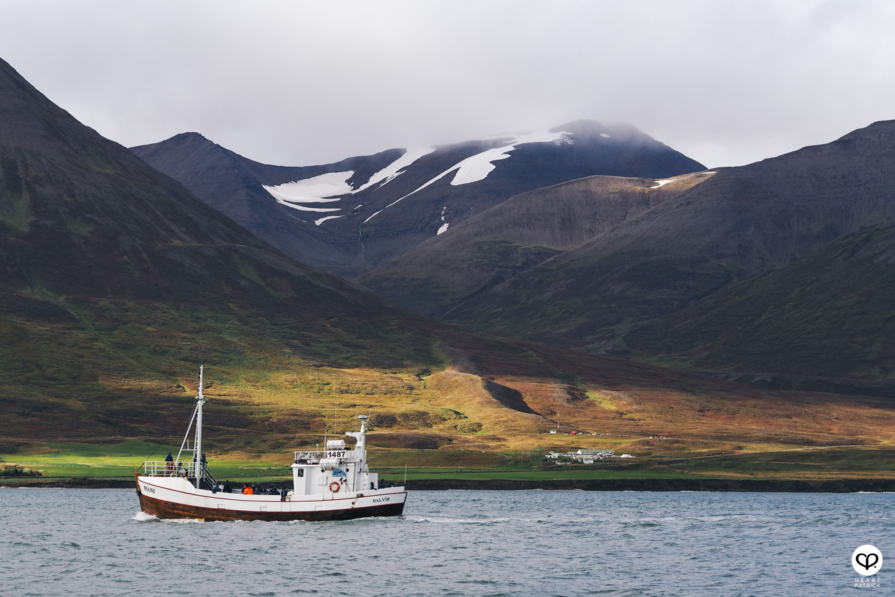 heartpatrick travel iceland adventure