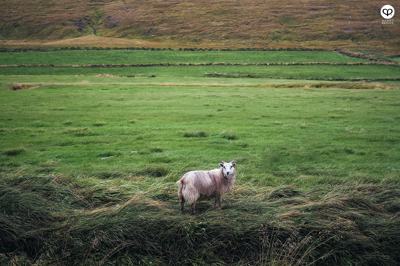 heartpatrick travel iceland adventure