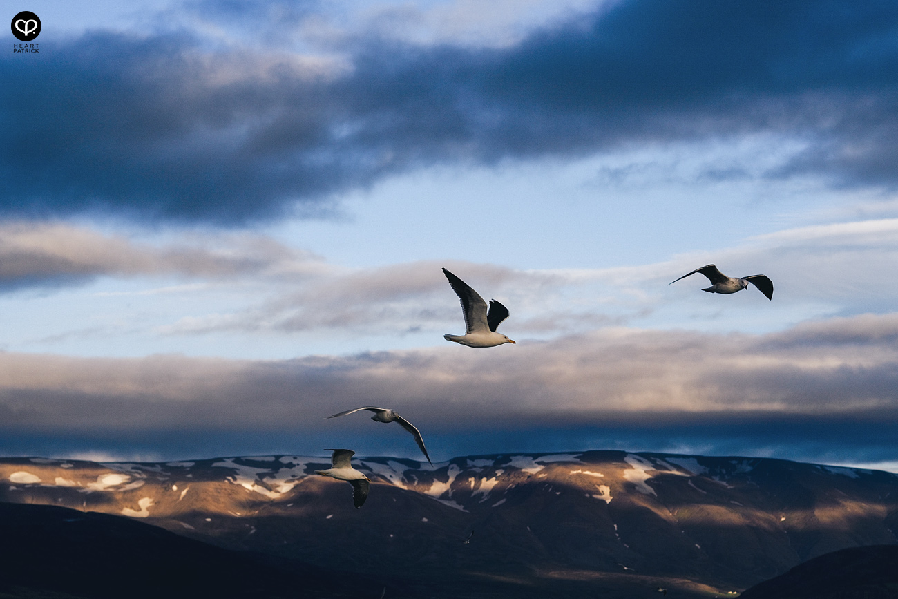 heartpatrick travel iceland adventure