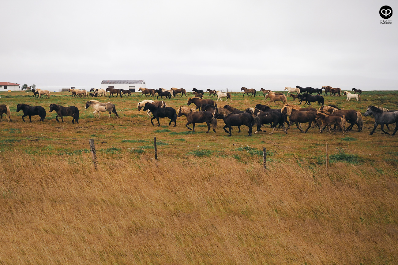 heartpatrick travel iceland adventure