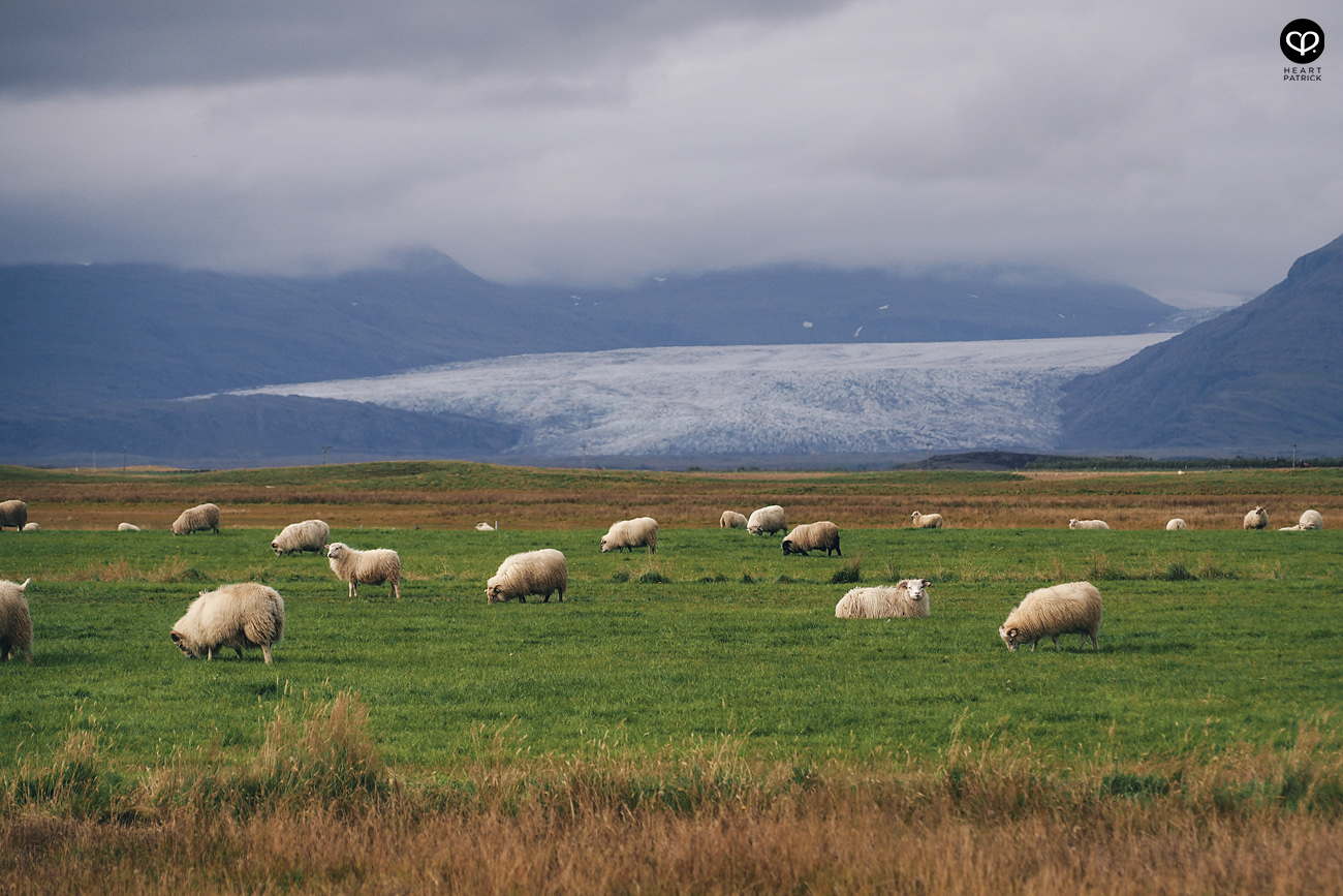 heartpatrick travel iceland adventure