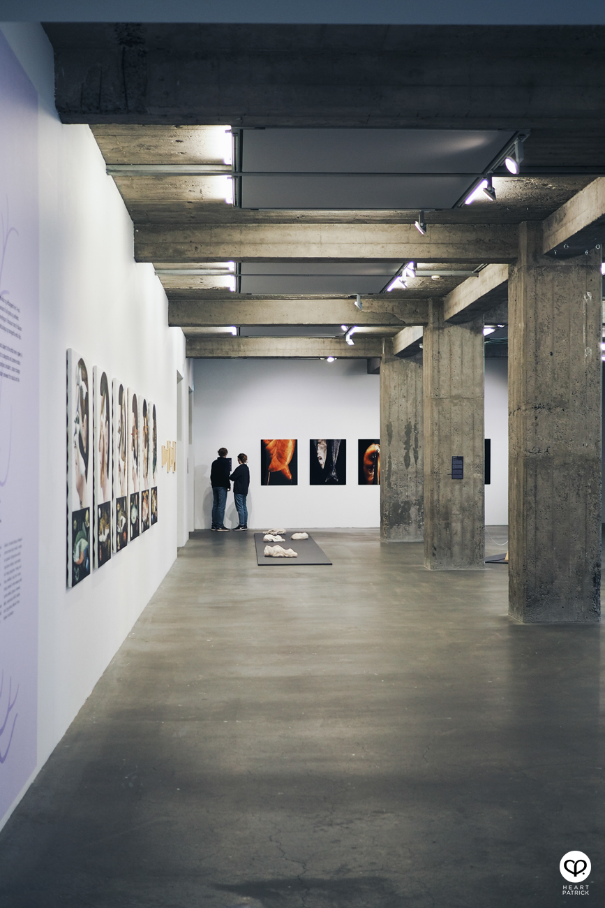 heartpatrick travel iceland reykjavik