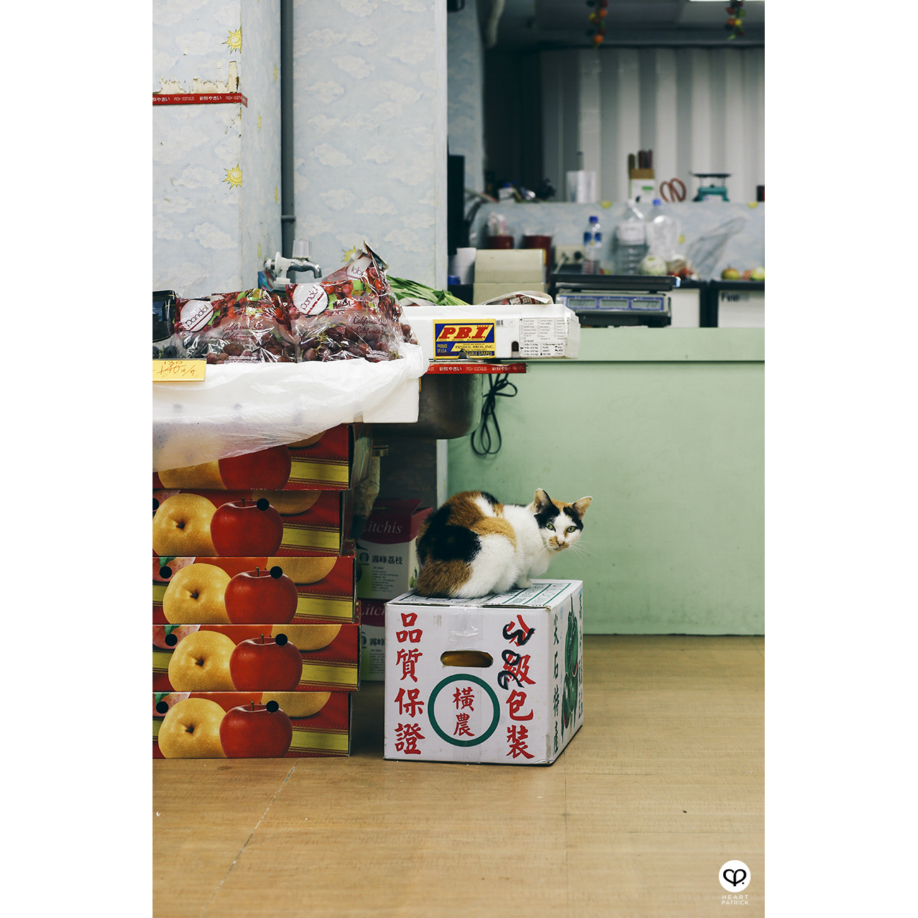 heartpatrick travel street photography taipei taiwan