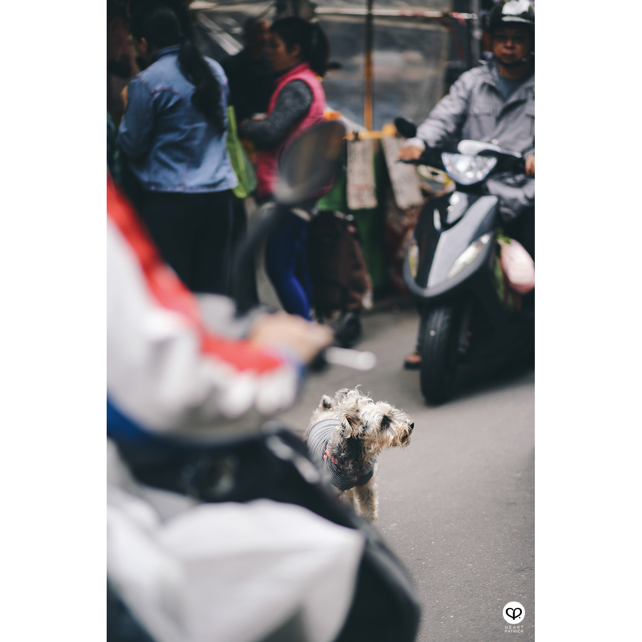 heartpatrick travel street photography taipei taiwan