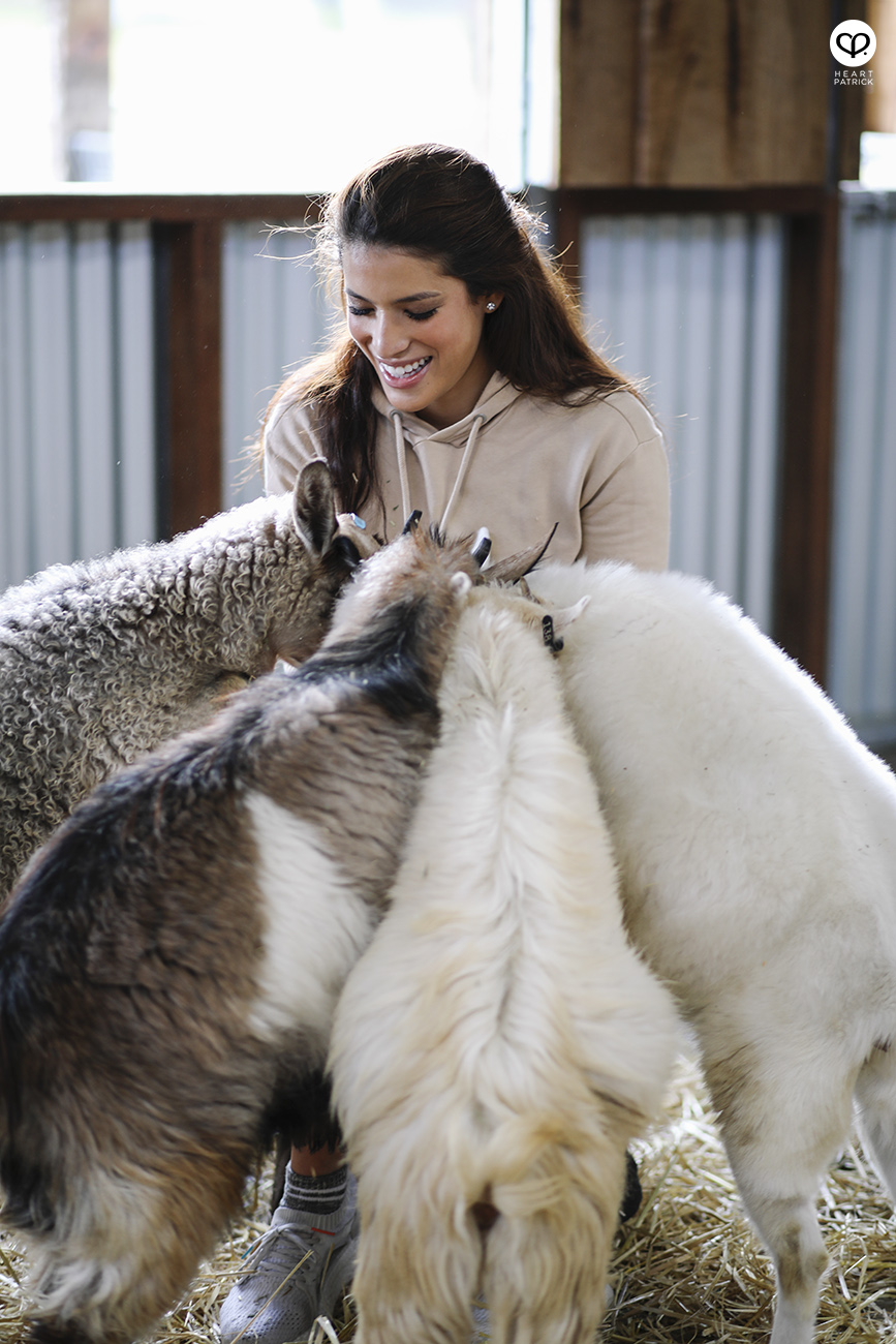 heartpatrick travel assignment for AirAsia Sydneysider New South Wales Australia travelogue