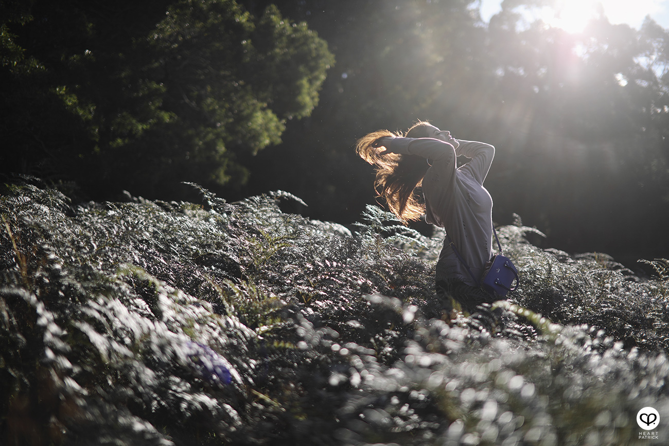 heartpatrick travel assignment for AirAsia Sydneysider New South Wales Australia travelogue