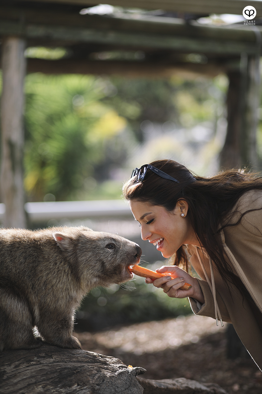 heartpatrick travel assignment for AirAsia Sydneysider New South Wales Australia travelogue