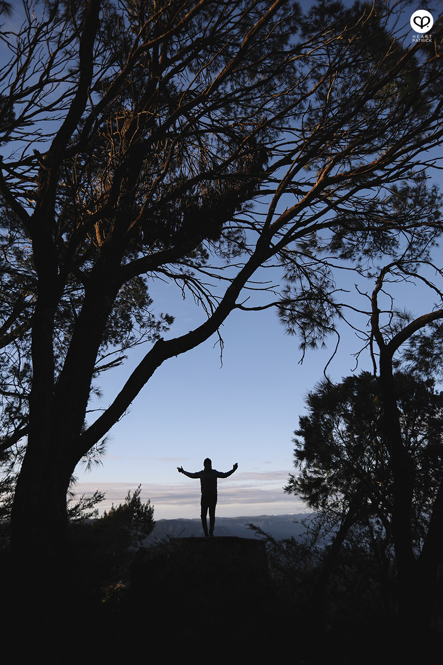 heartpatrick travel assignment for AirAsia Sydneysider New South Wales Australia travelogue