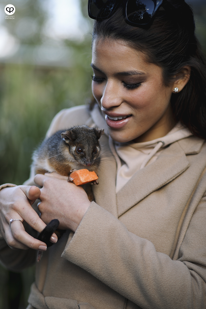 heartpatrick travel assignment for AirAsia Sydneysider New South Wales Australia travelogue