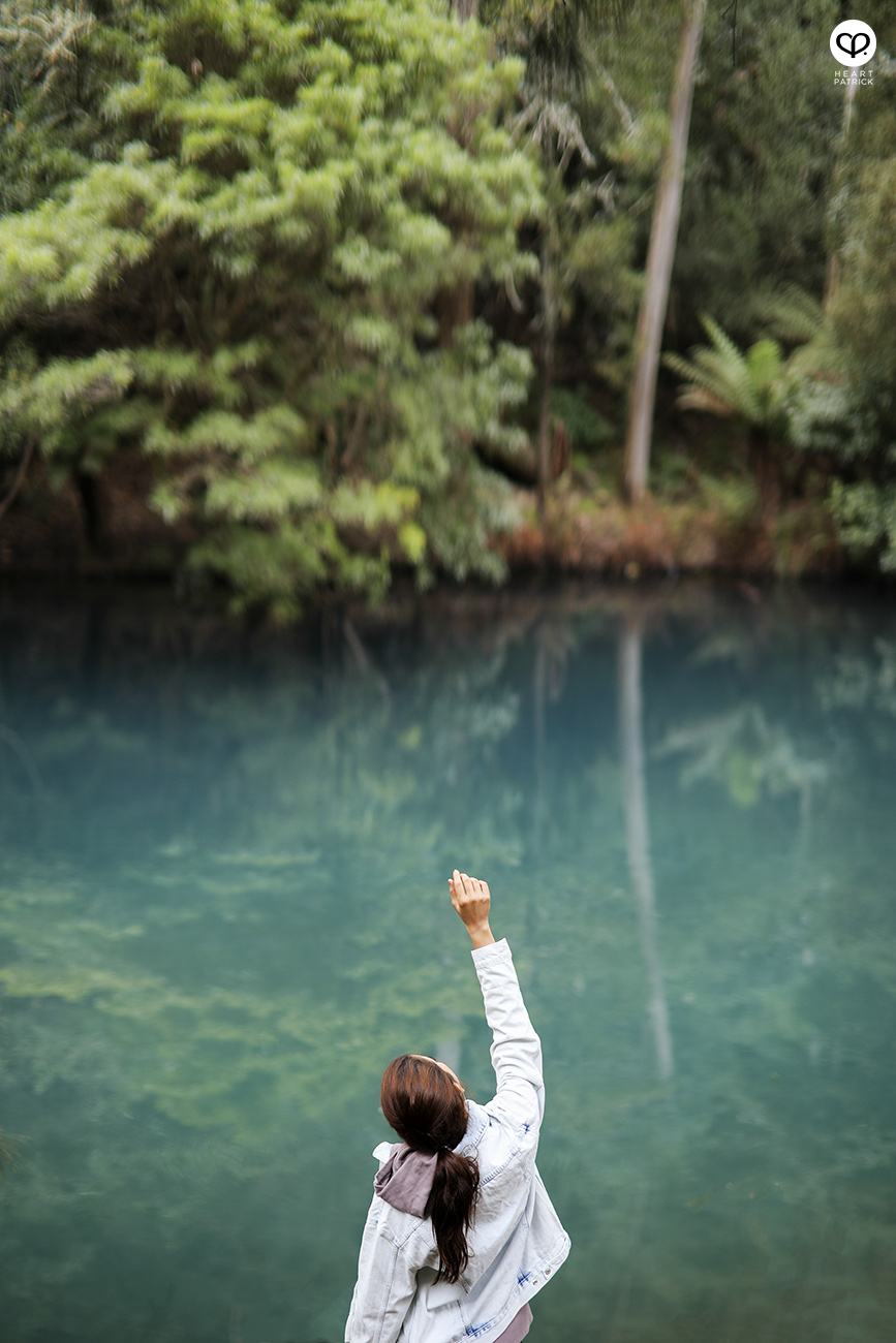 heartpatrick travel assignment for AirAsia Sydneysider New South Wales Australia travelogue