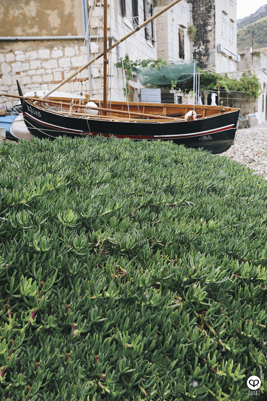 heartpatrick travel street photography Croatia