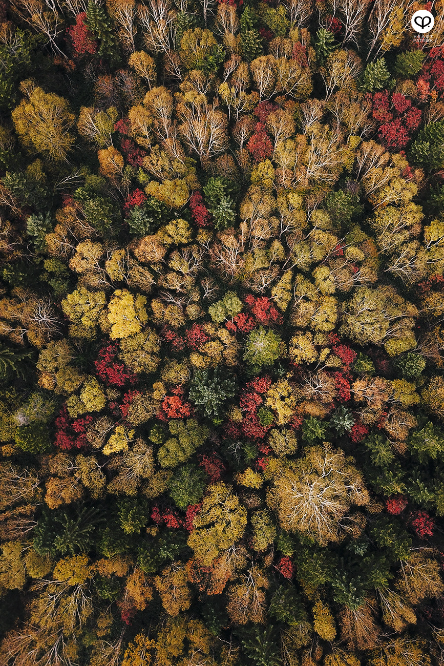 heartpatrick travel aerial drone dji mavic pro photography hokkaido japan