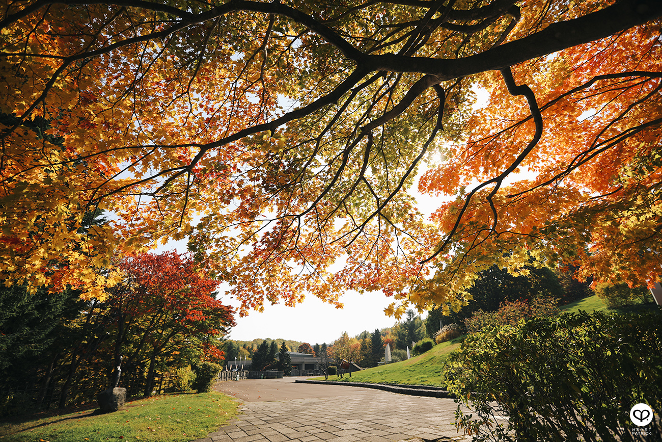 heartpatrick travel street photojournalism sapporo hokkaido