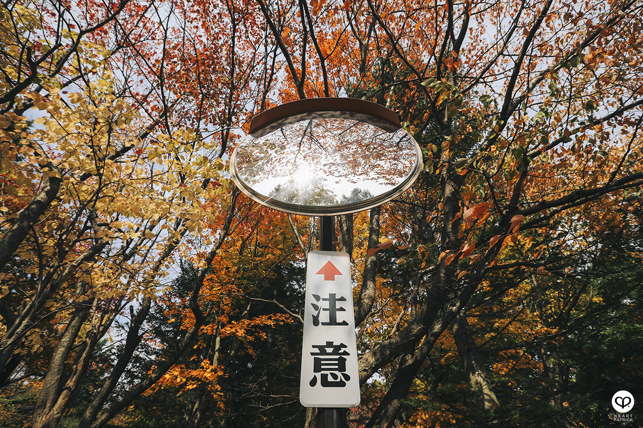 heartpatrick travel street photojournalism sapporo hokkaido