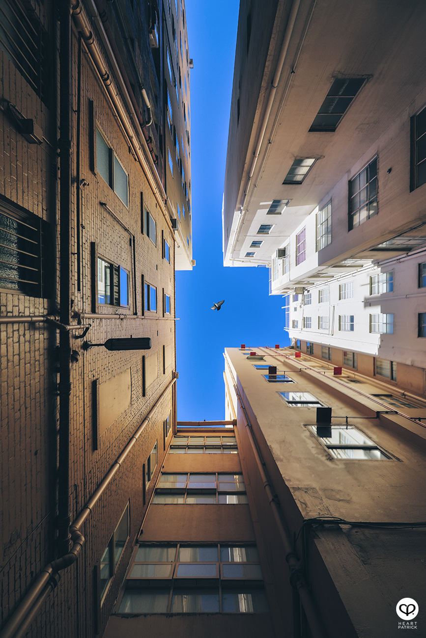 heartpatrick architecture travel portfolio melbourne victoria australia