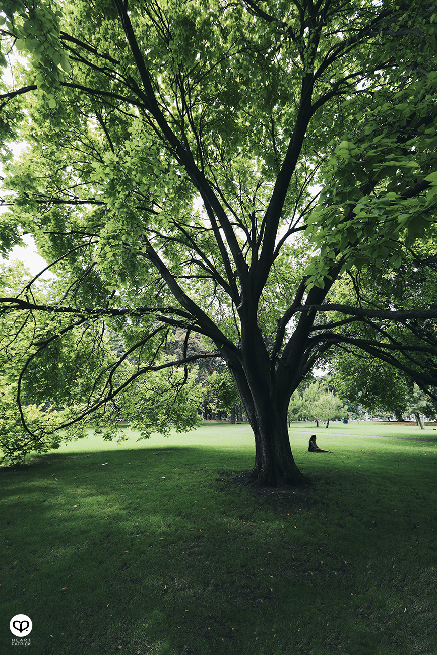 heartpatrick architecture travel portfolio melbourne victoria australia