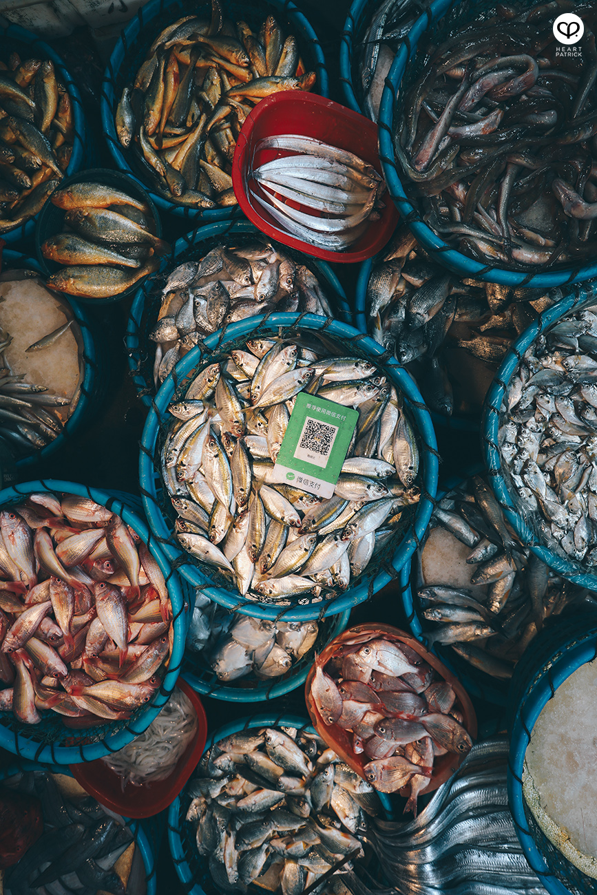 heartpatrick travel street photography photojournalism xiamen china