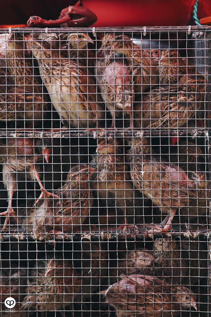 heartpatrick travel street photography photojournalism xiamen china