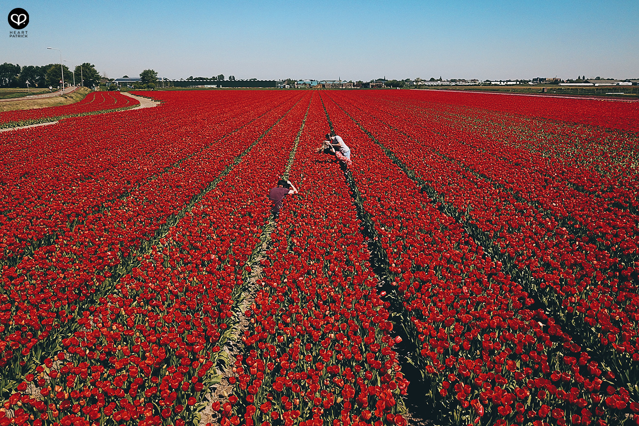 heartpatrick destination pregnancy prenatal couple portraits santorini greece