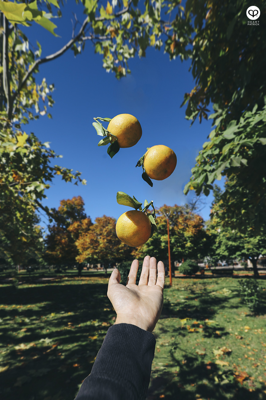 heartpatrick travel photography morocco