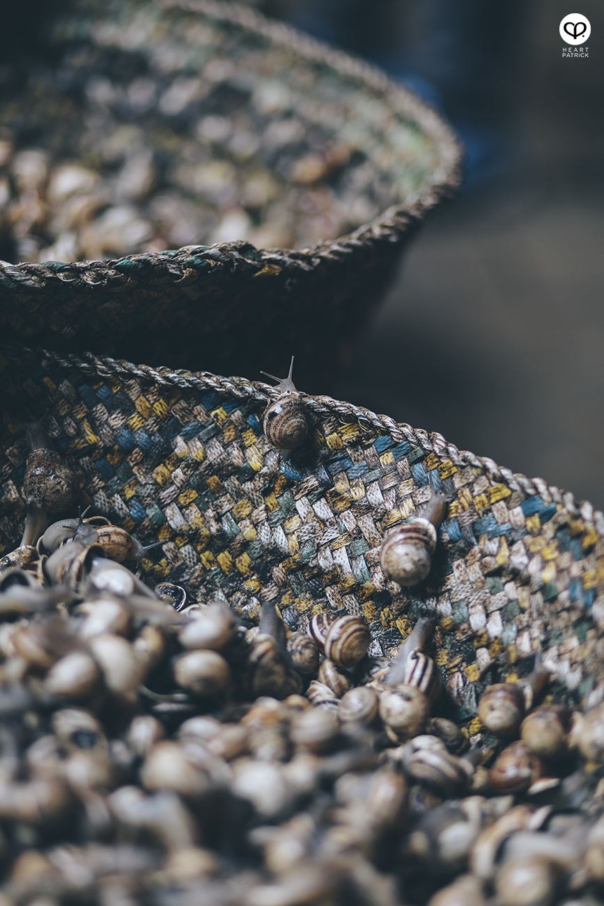 heartpatrick travel photography morocco