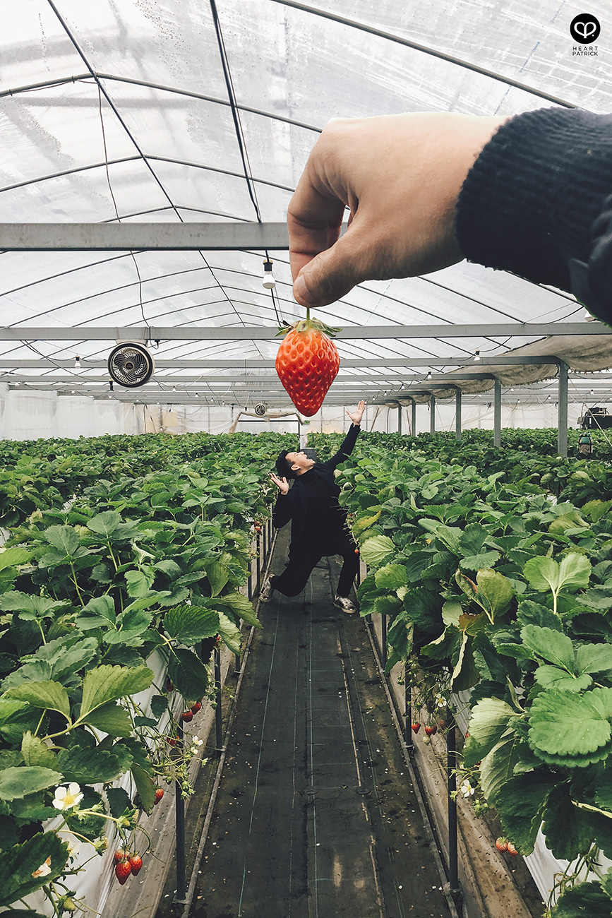 heartpatrick travel japan kyushu island fukuoka