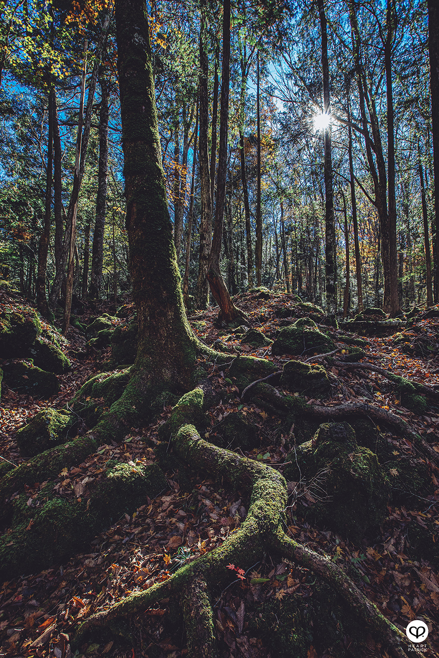 heartpatrick travel street photography urban exploring japan 