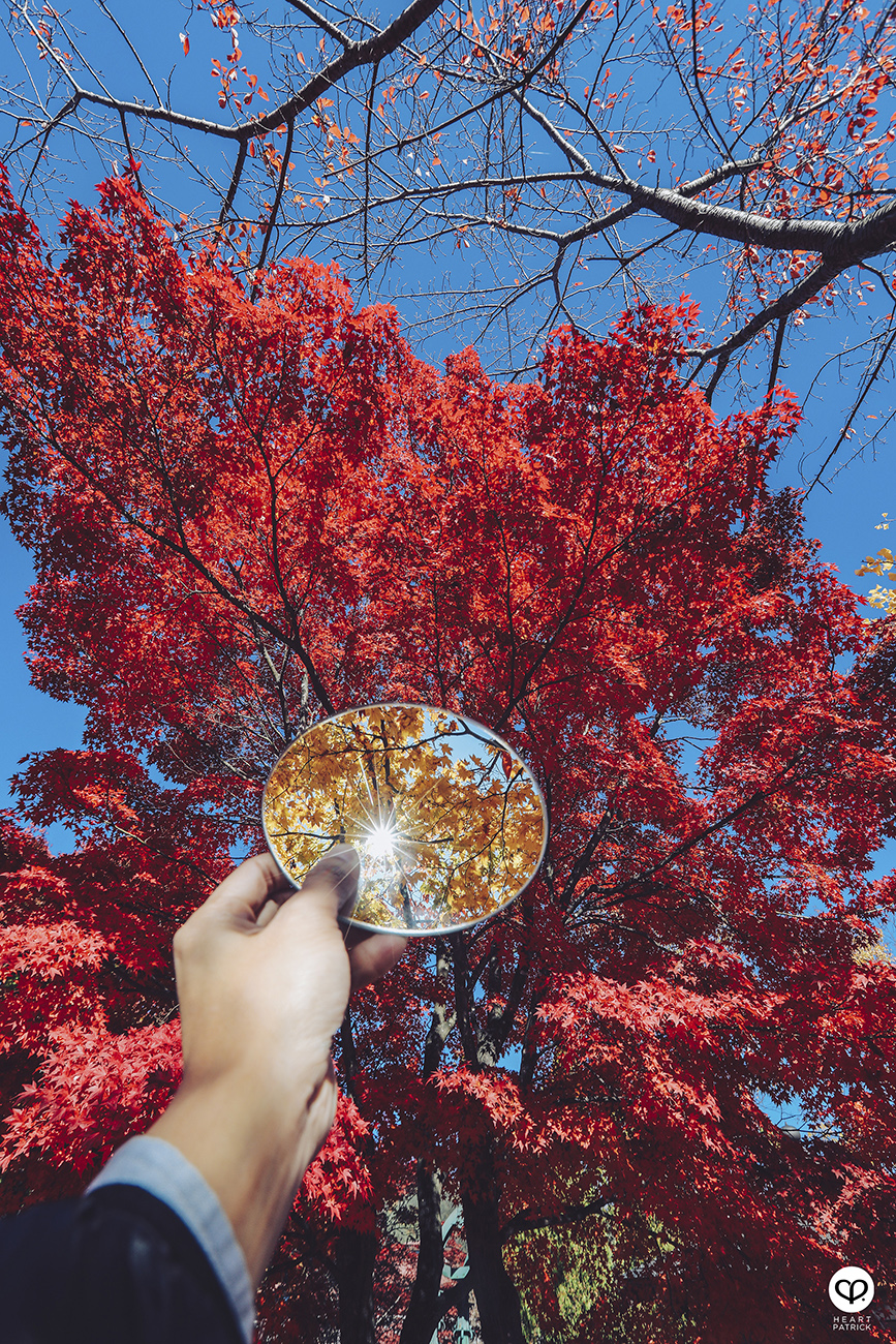 heartpatrick travel street photography urban exploring japan 