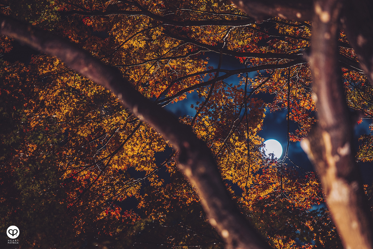 heartpatrick travel street photography urban exploring japan 