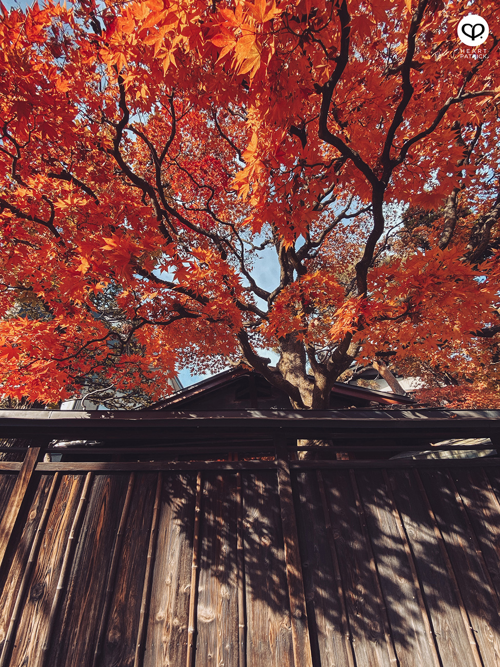 heartpatrick travel street photography urban exploring japan 