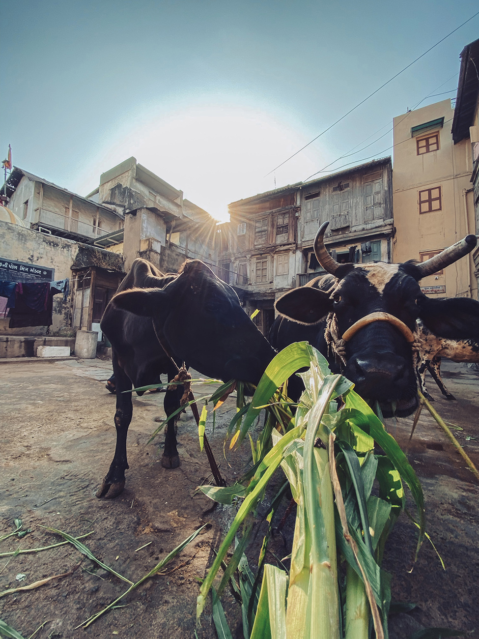 heartpatrick travel street photography urban exploring india ahmedabad 