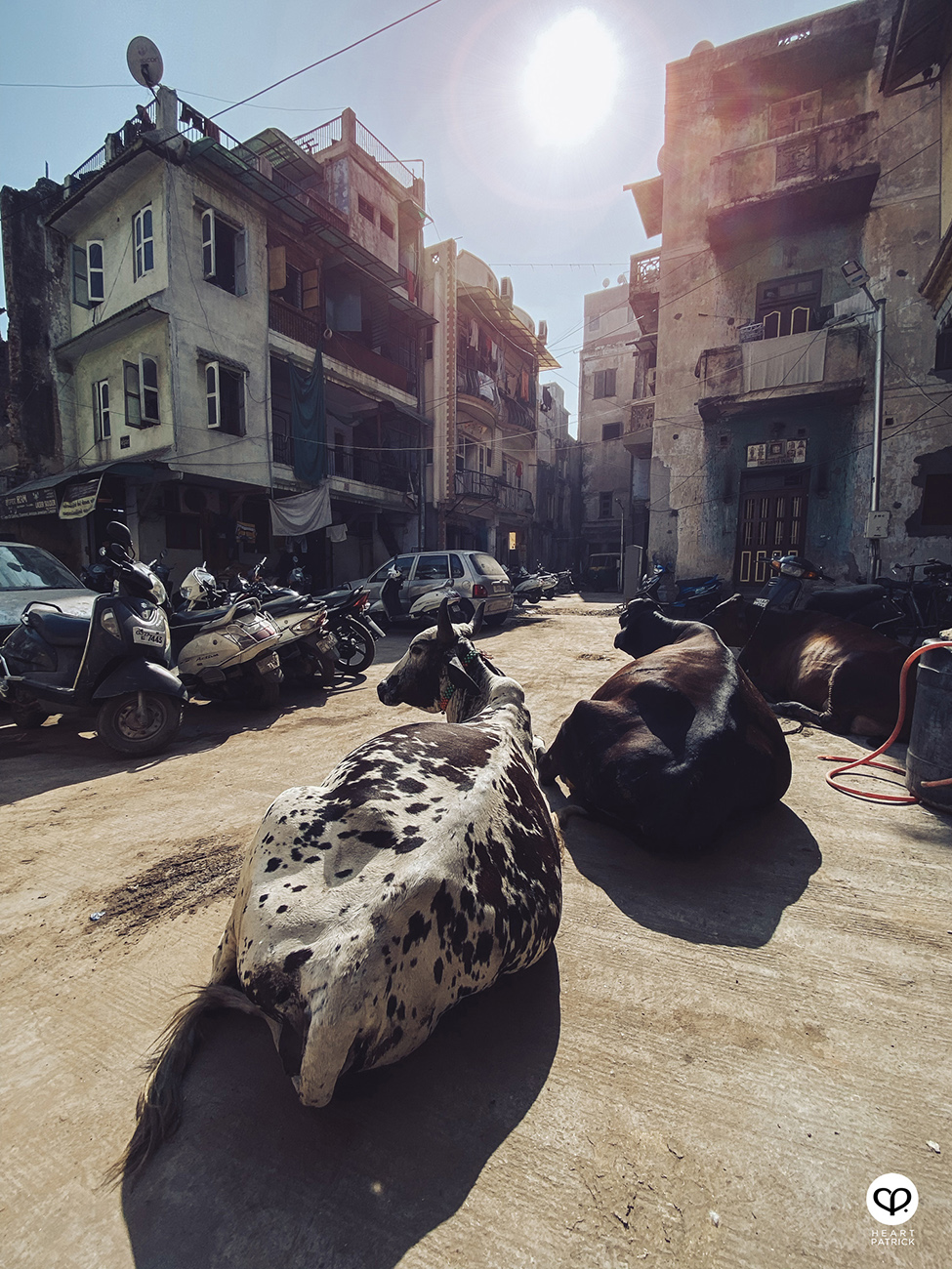 heartpatrick travel street photography urban exploring india ahmedabad 