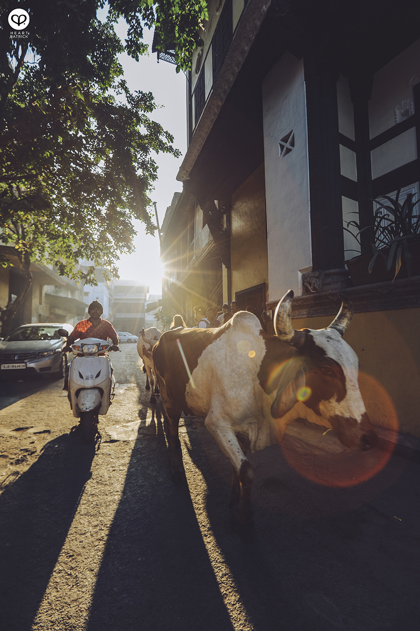 heartpatrick travel street photography urban exploring india ahmedabad 