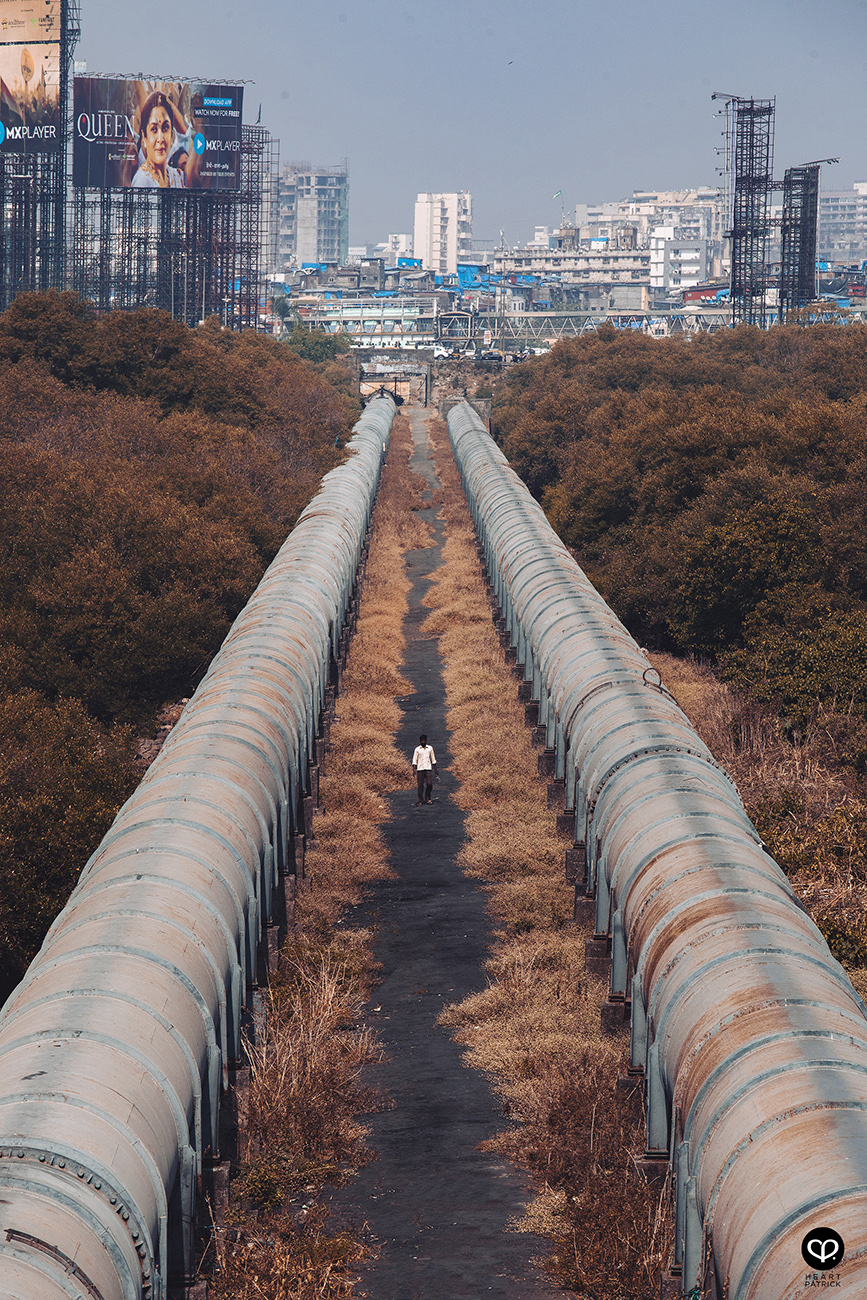 heartpatrick travel street photography urban exploring india mumbai 
