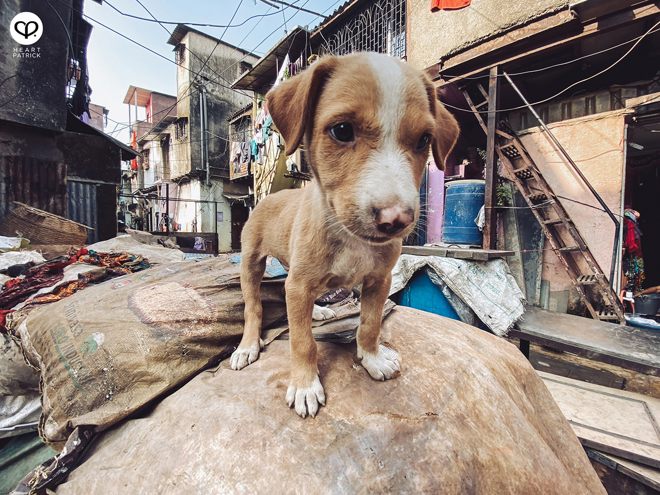 heartpatrick travel street photography urban exploring india mumbai 