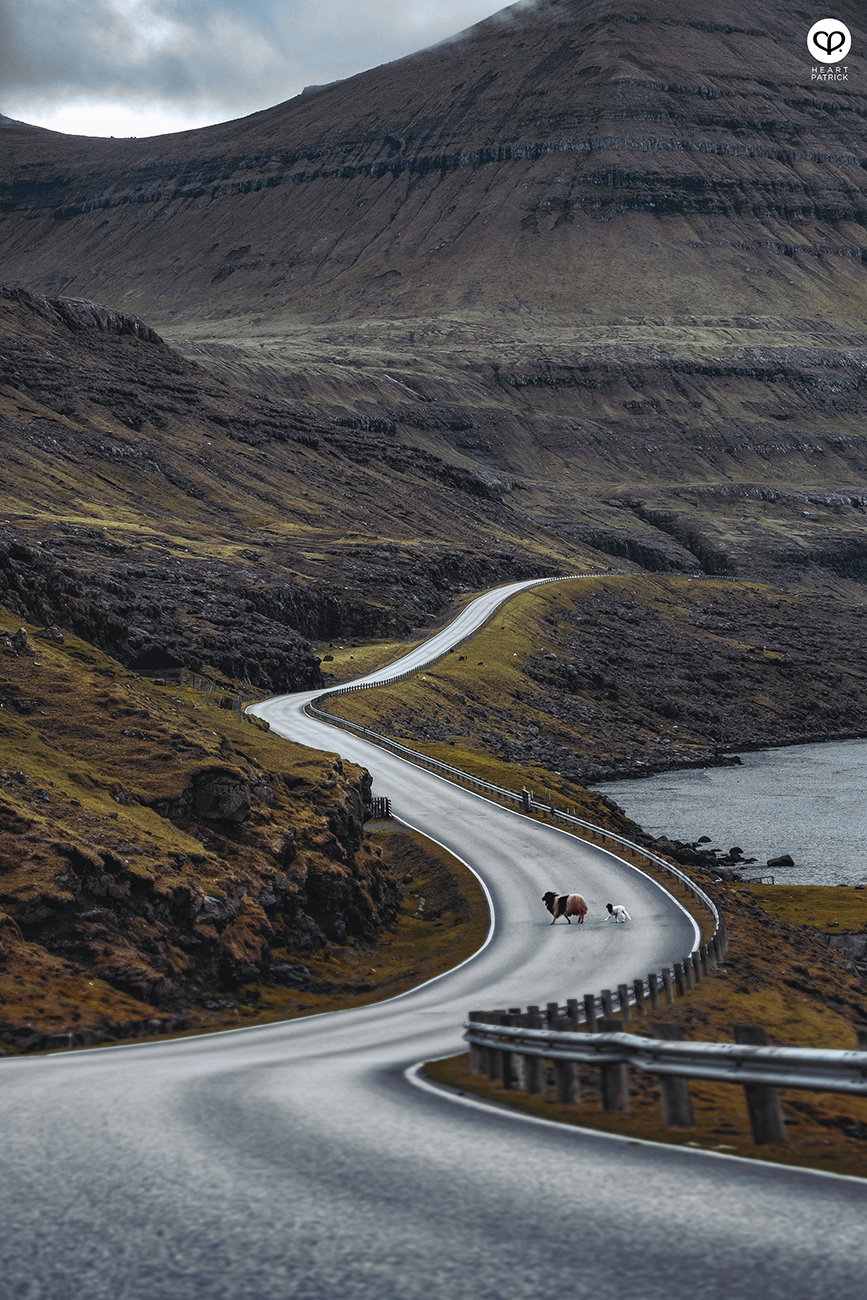 heartpatrick travel photography faroe islands