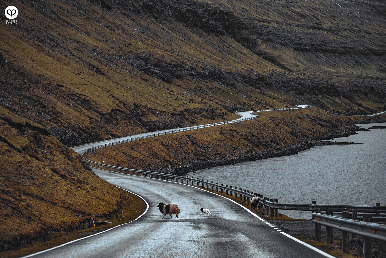 heartpatrick travel photography faroe islands