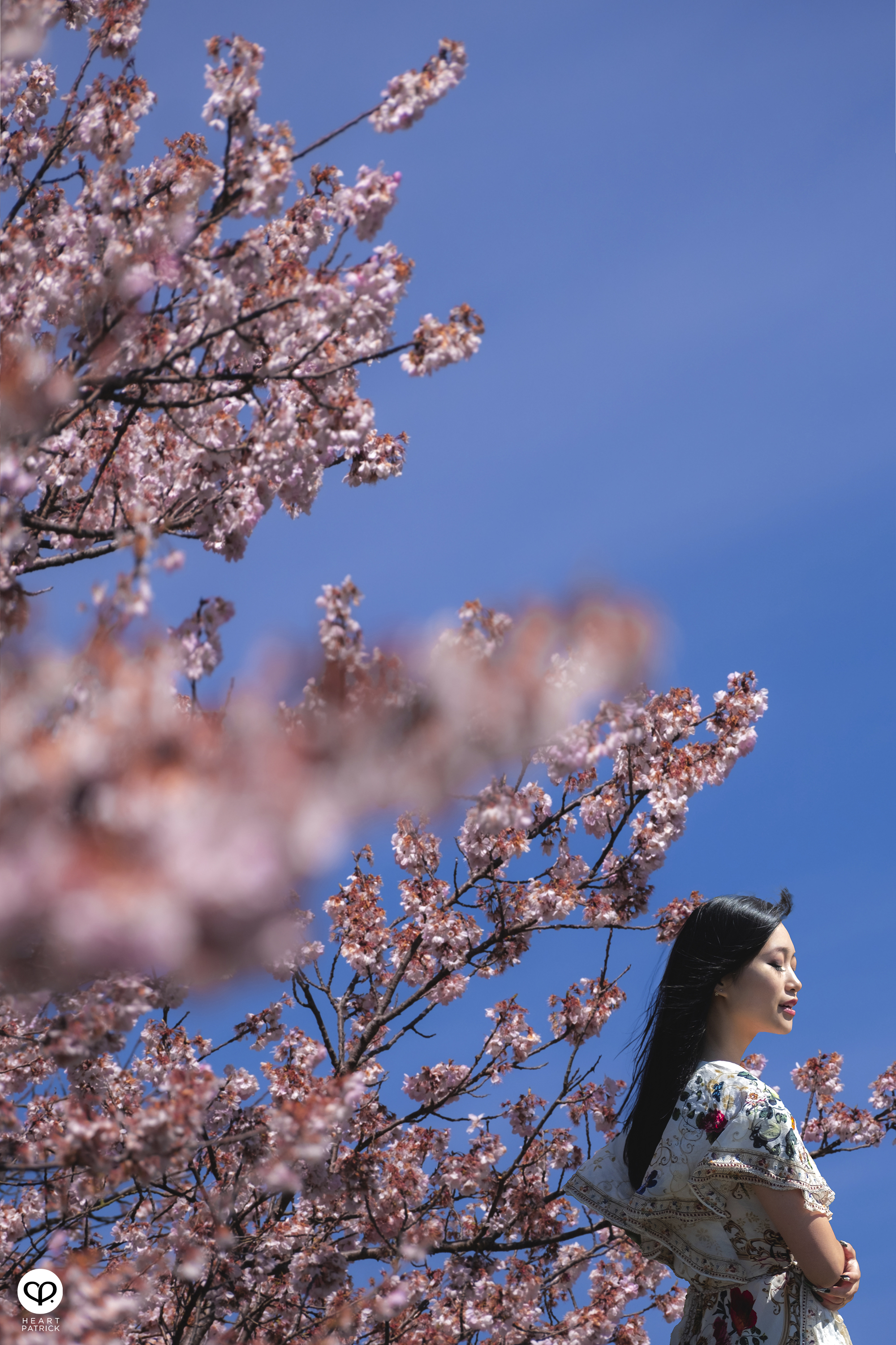 heartpatrick travel japan kanagawa sakura hanami spring flowers