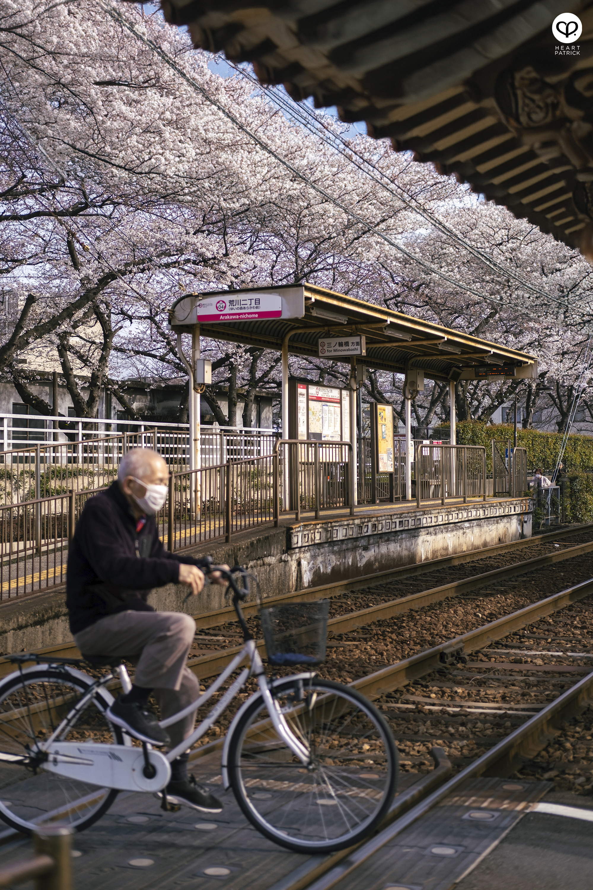 heartpatrick travel japan tokyo sakura hanami season flower spring street photography